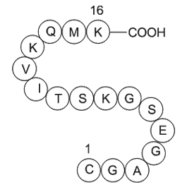 GTP-Binding Protein Fragment, G alpha