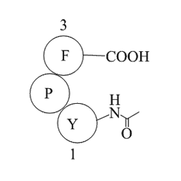 Fas C- Terminal Tripeptide