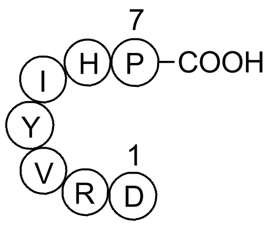 Angiotensin (1-7)