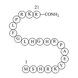 Ribosomal protein L3 peptide (202-222) amide