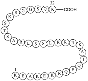 S6 Kinase Substrate Peptide 32