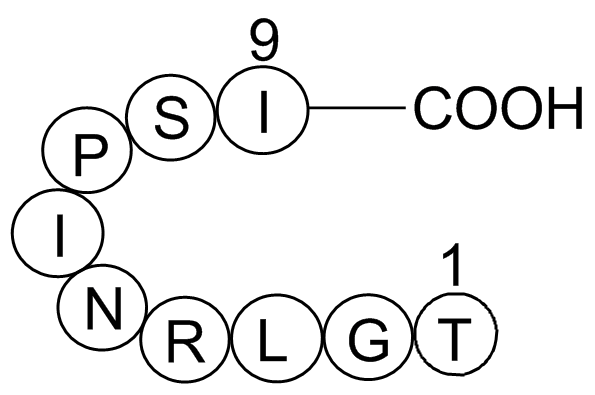 hemagglutinin (332-340) [Influenza A virus]