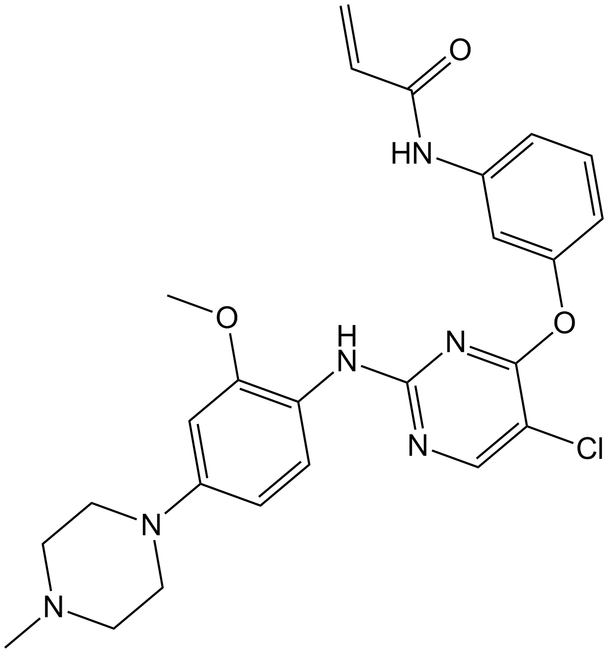 WZ4002