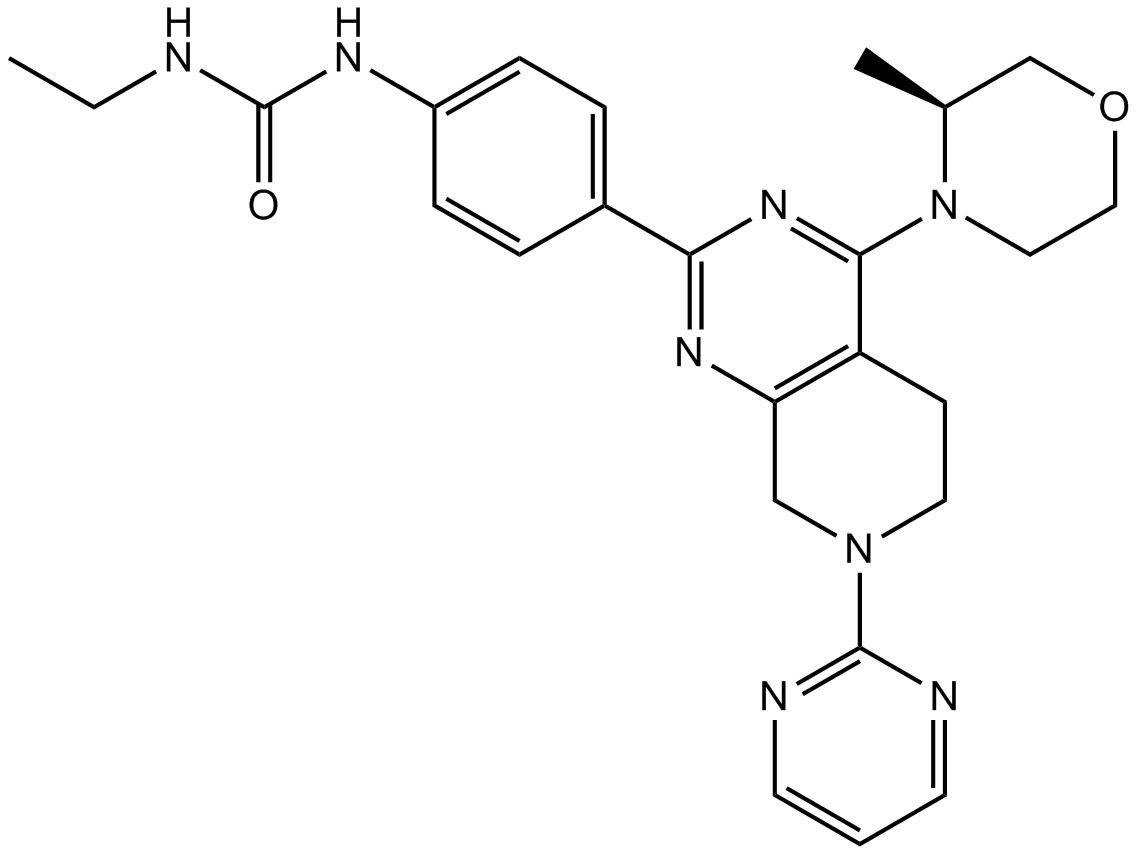 mTOR inhibitor