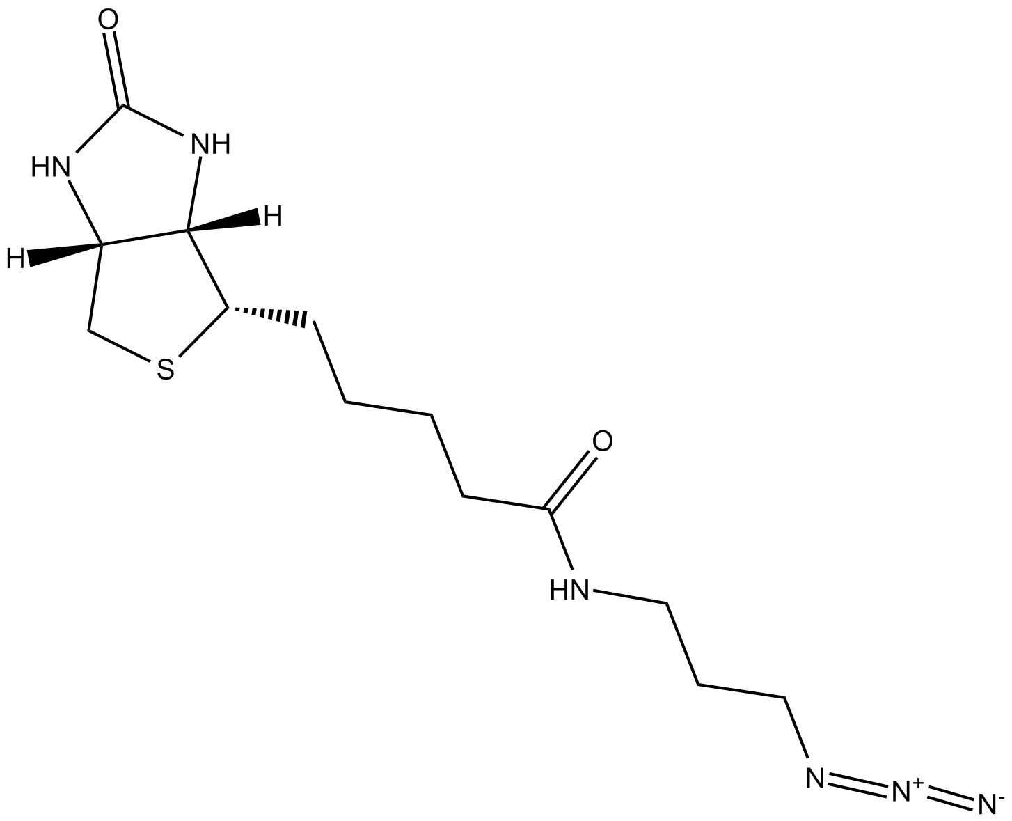 Biotin-azide