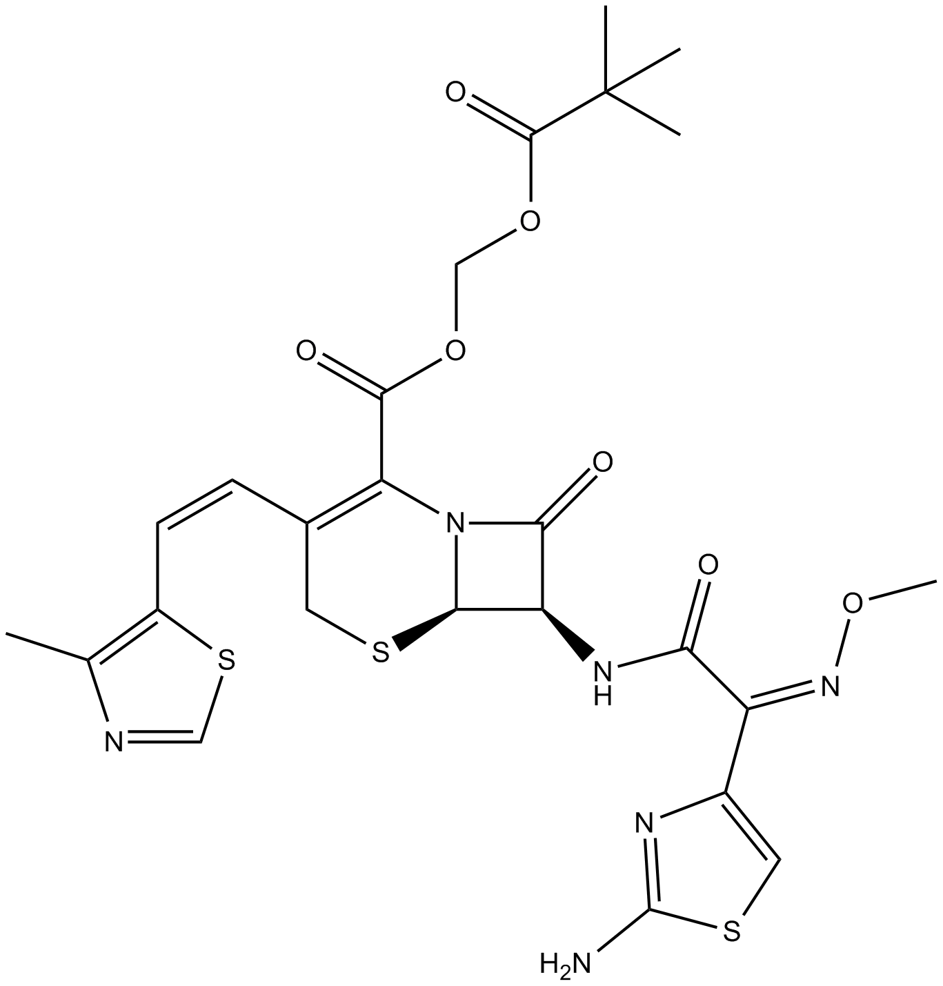 Cefditoren Pivoxil