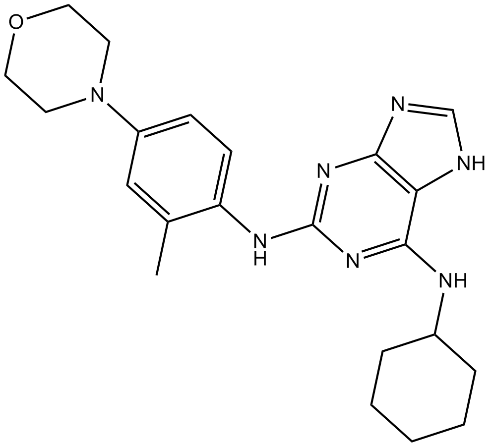 MPI-0479605