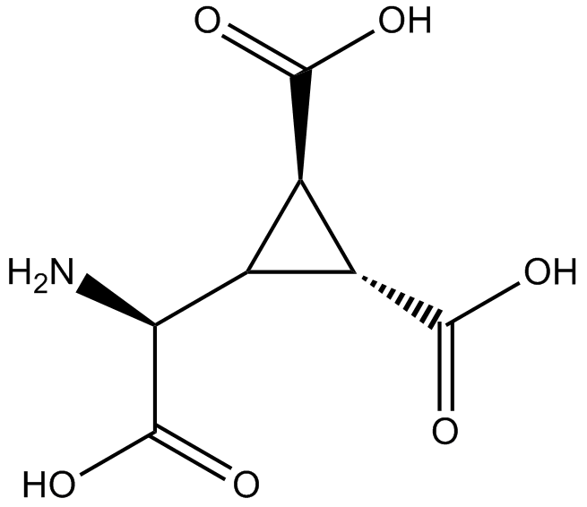 DCG IV