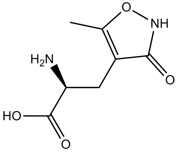 (RS)-AMPA