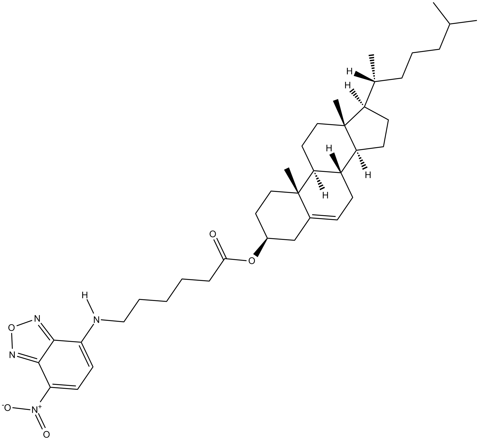 3-hexanoyl-NBD Cholesterol