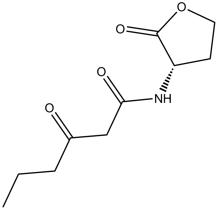 N-(β-ketocaproyl)-L-Homoserine lactone
