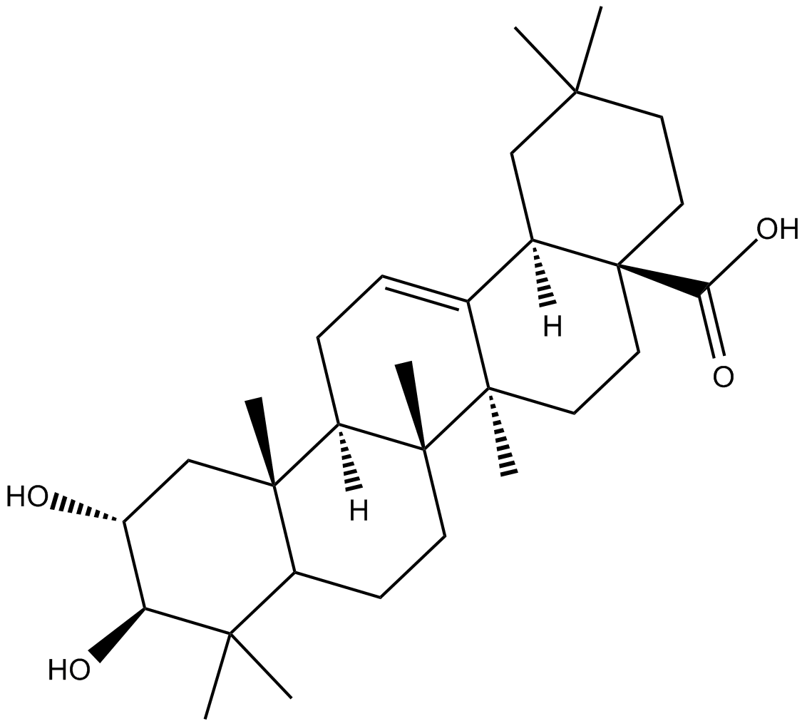 Maslinic Acid