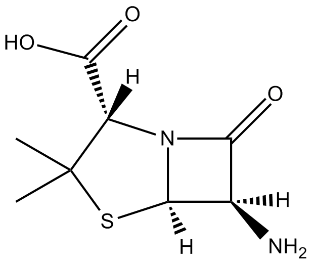 6-Aminopenicillanic acid