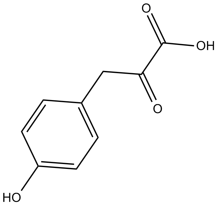 Tyrosine metabolism