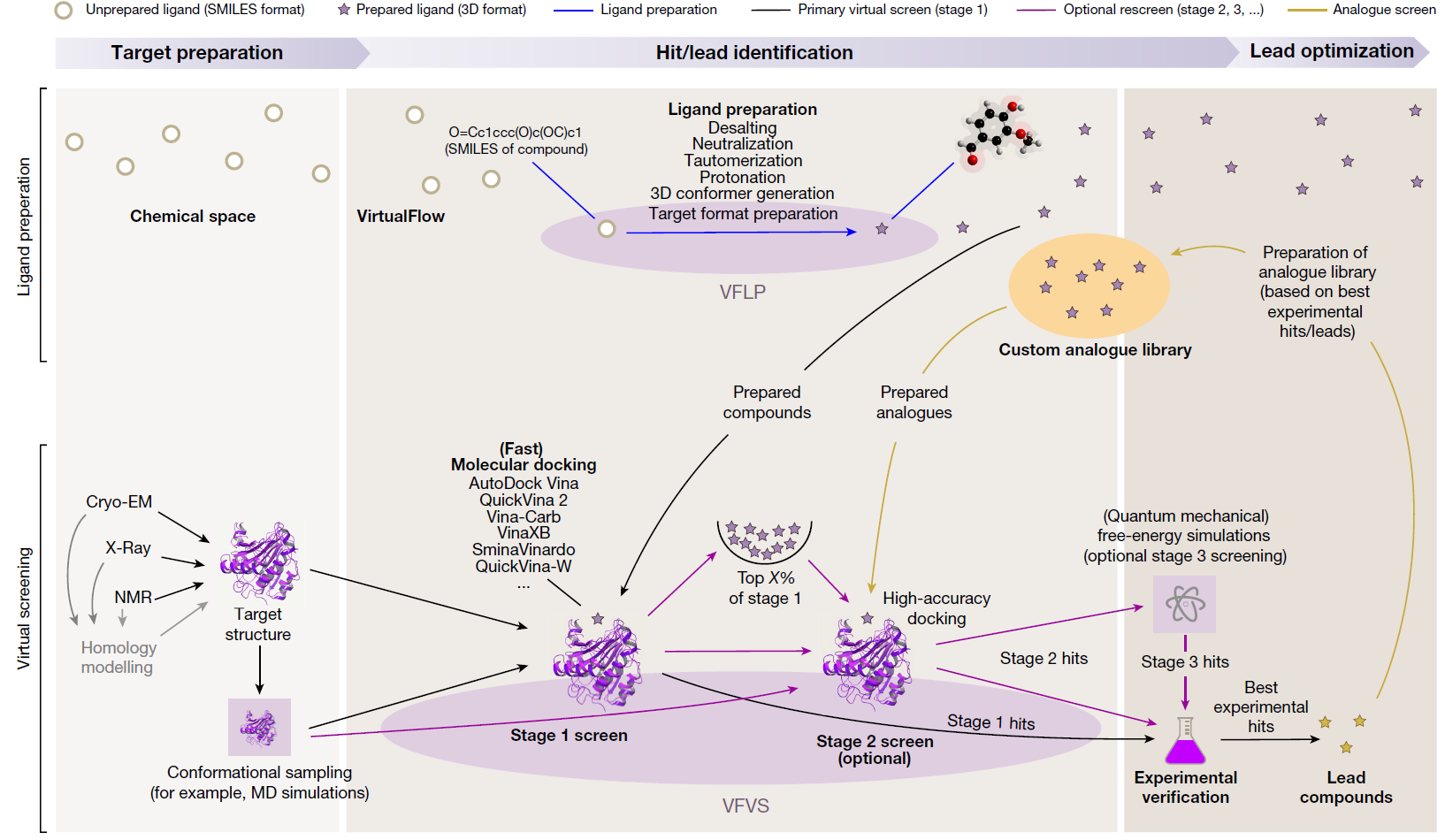 Workflow of Virtual Screening