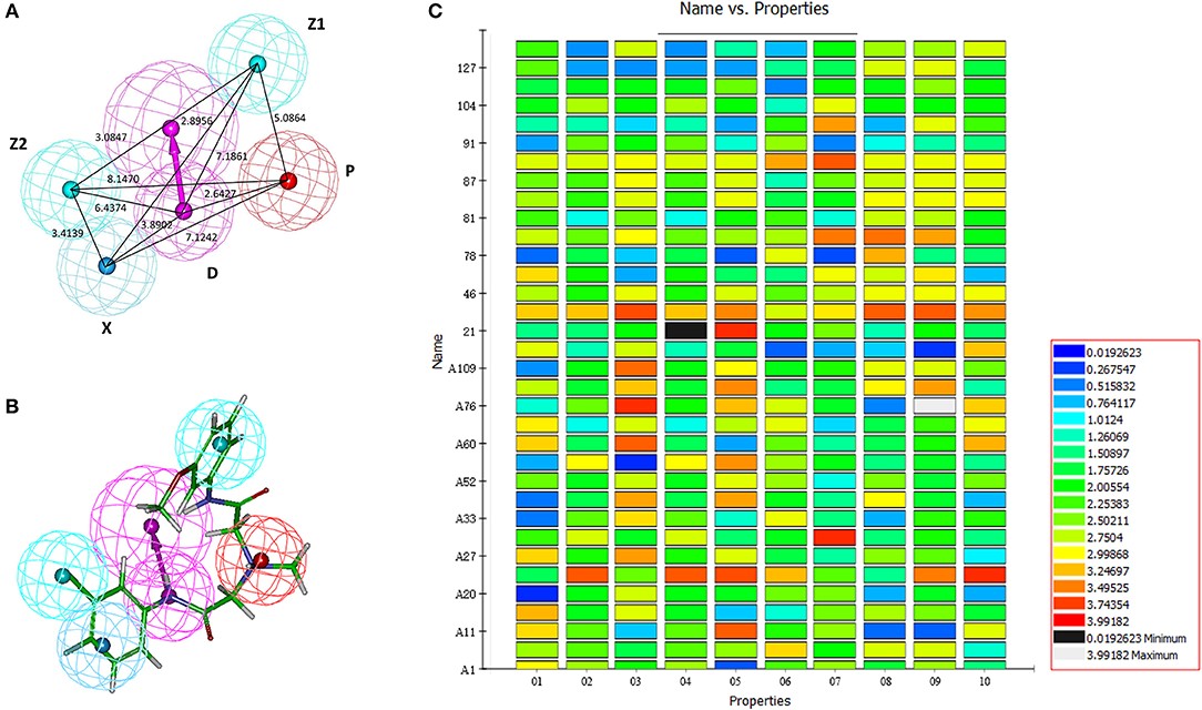 Generation of the HipHop pharmacophore