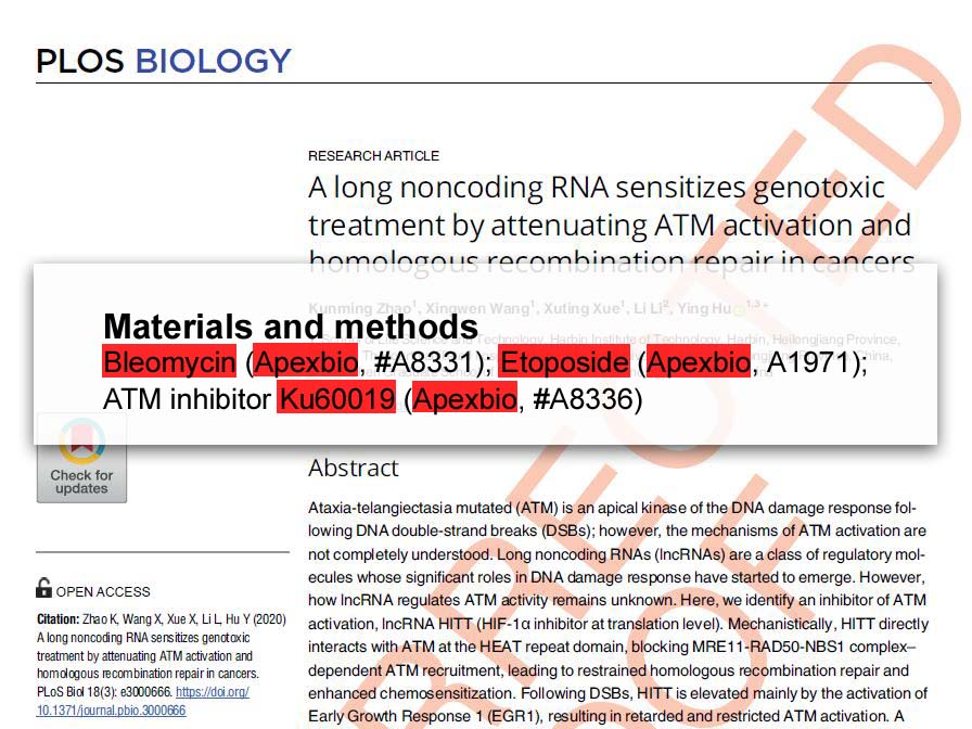 KU-60019 - Potent ATM Kinase Inhibitor | APExBIO