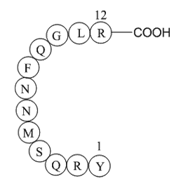 Adrenomedullin (1-12), human