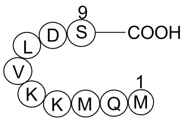 Anti-Inflammatory Peptide 1