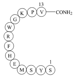 a-MSH, amide