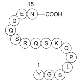 Myelin Basic Protein (68-82), guinea pig