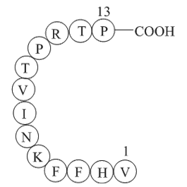 Myelin Basic Protein (87-99) GUINEA PIG, HUMAN