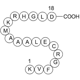 egg white lysozyme (19-36) [Gallus gallus]