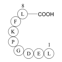 eukaryotic translation elongation factor 1 alpha 1 (EEF1A1) (387-394) [Multiple species]