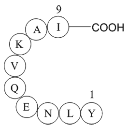 ferritin heavy chain fragment [Multiple species]