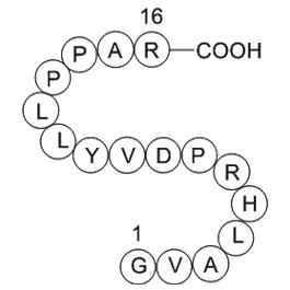 Immunoglobulin M heavy chain (IGHM) fragment [Homo sapiens]