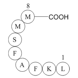 Influenza A virus fragment