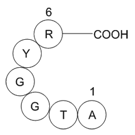 prostate apoptosis response protein PAR-4 (2-7) [Homo sapiens]