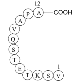 Rhodopsin peptide