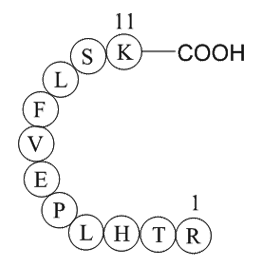 vitamin D binding protein precursor (353-363) [Homo sapiens]