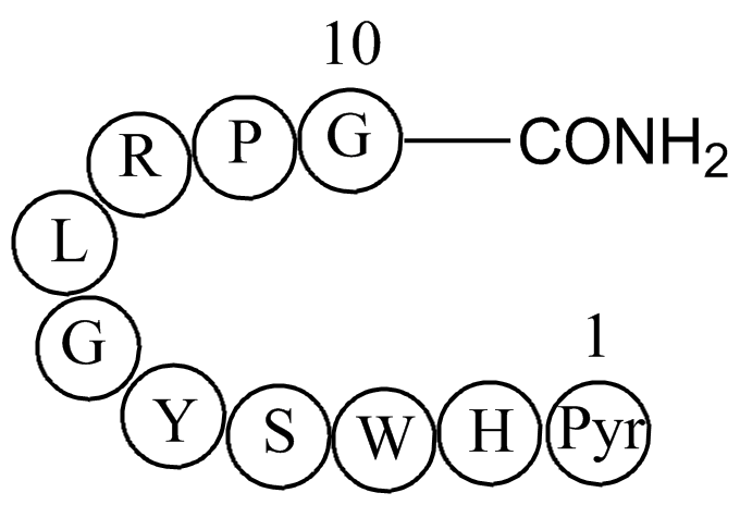 Luteinizing hormone releasing hormone human acetate salt(LHRH)