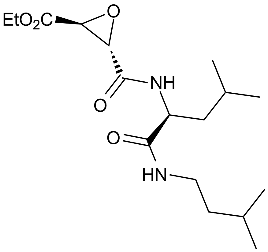 E 64d