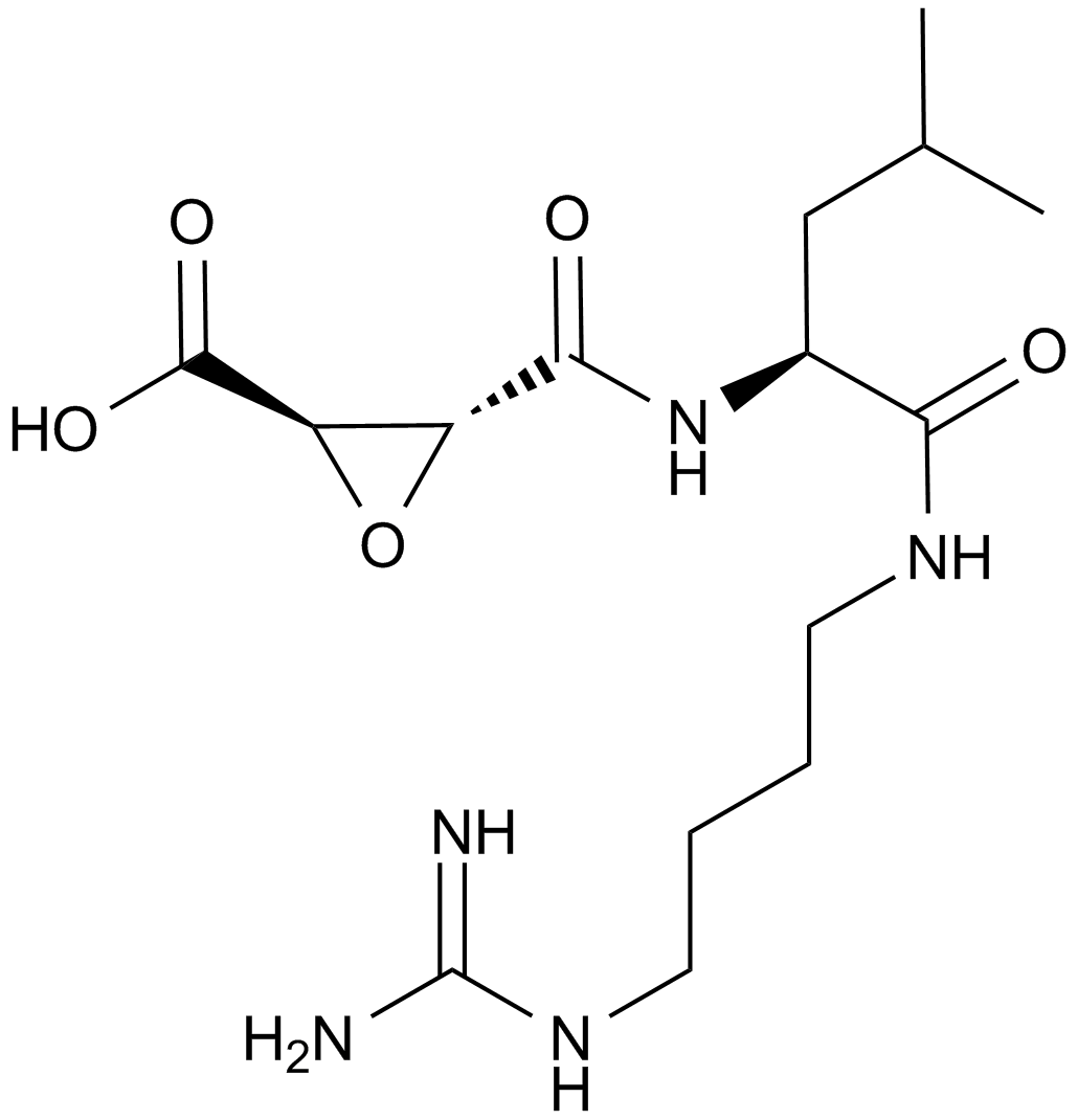 E-64