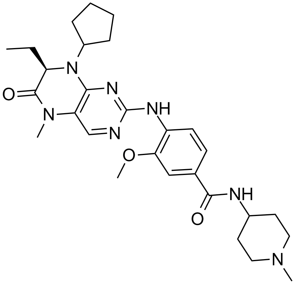 BI 2536