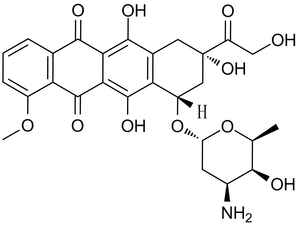 Doxorubicin