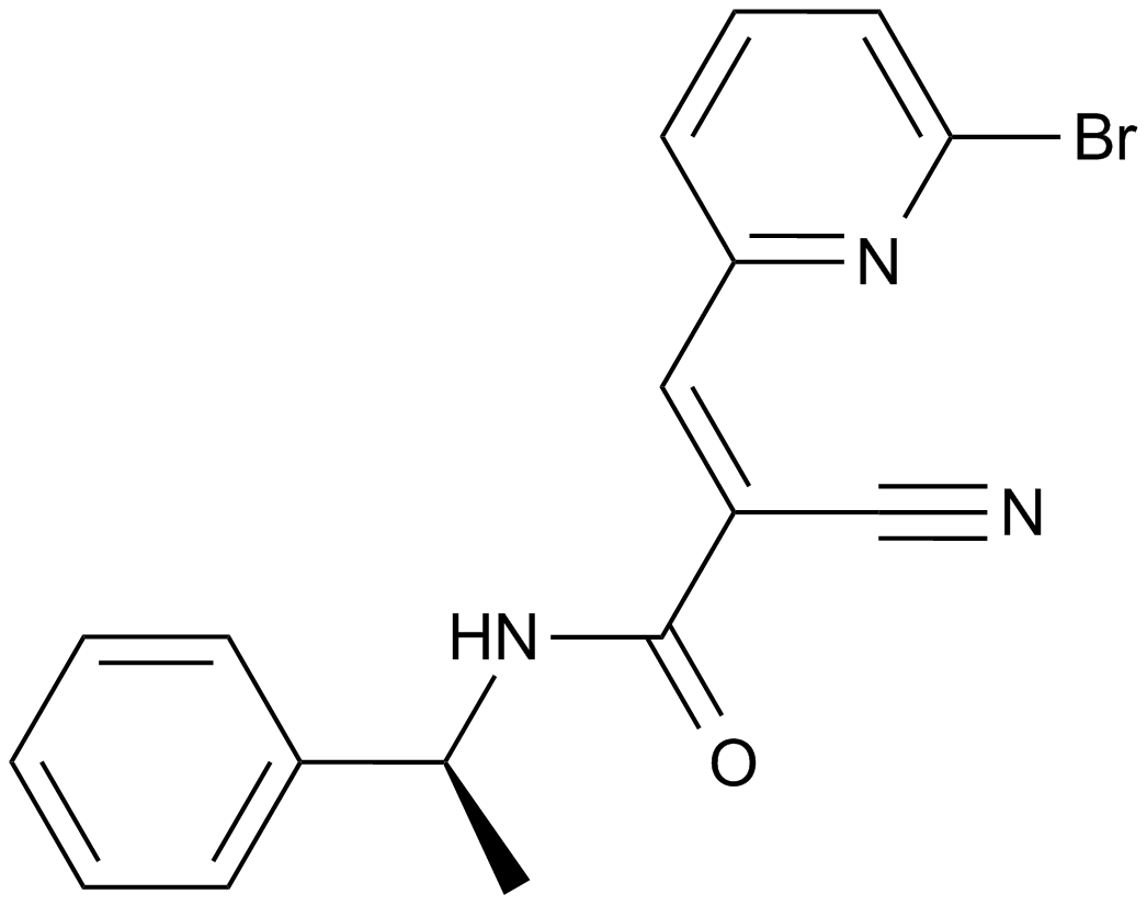 WP1066