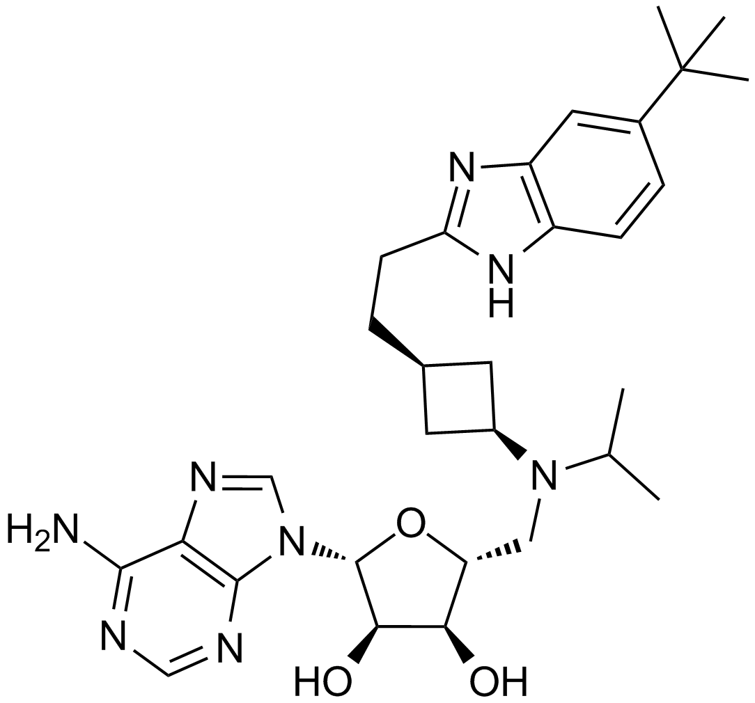 EPZ5676