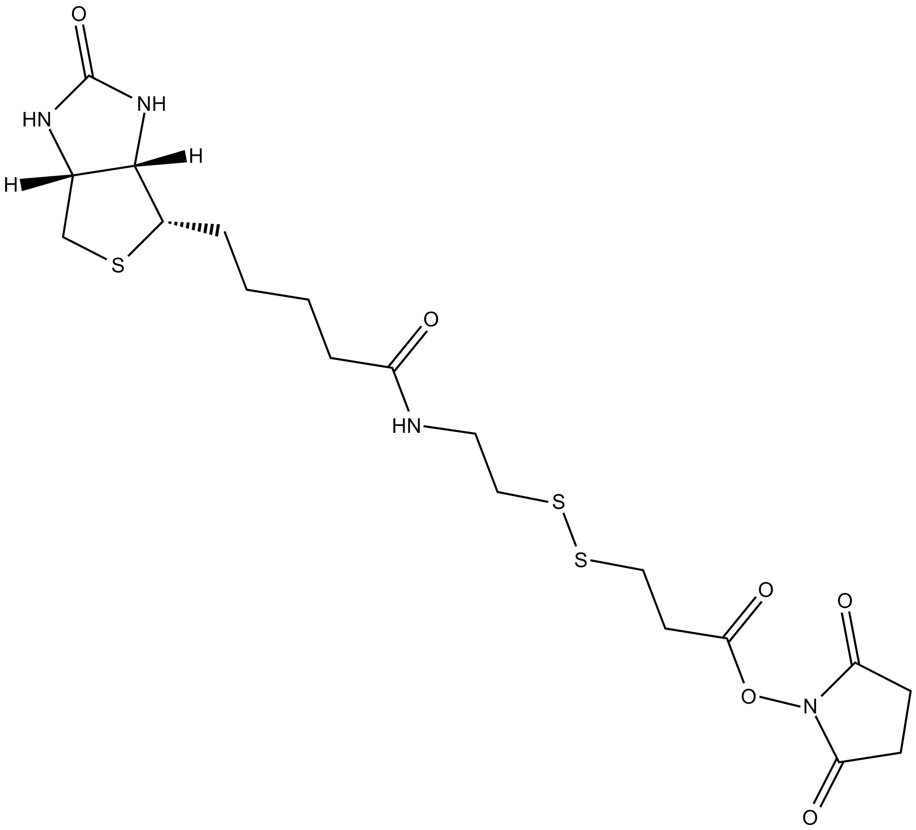 NHS-SS-Biotin