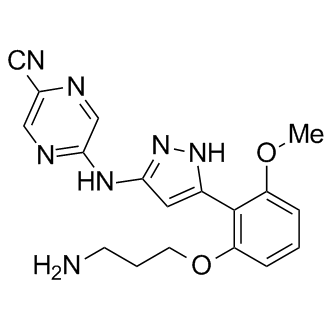 LY2606368