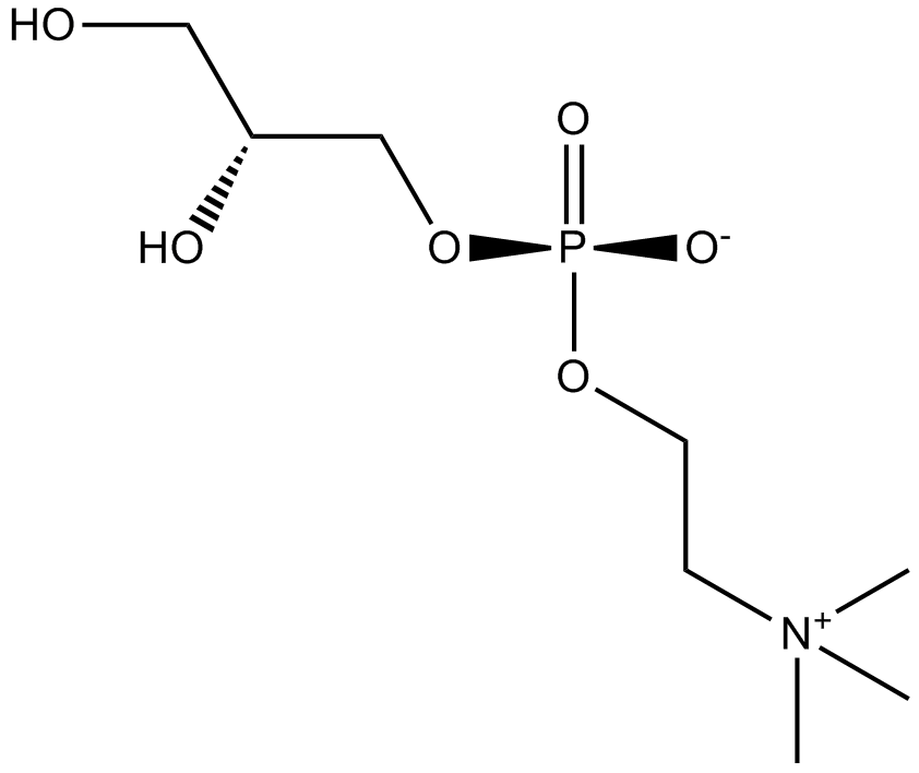 sn-Glycero-3-phosphocholine