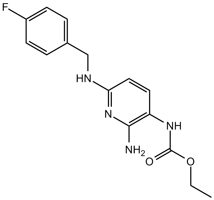 NMDA Receptor - Membrane Transporter/Ion Channel - Signaling Pathways