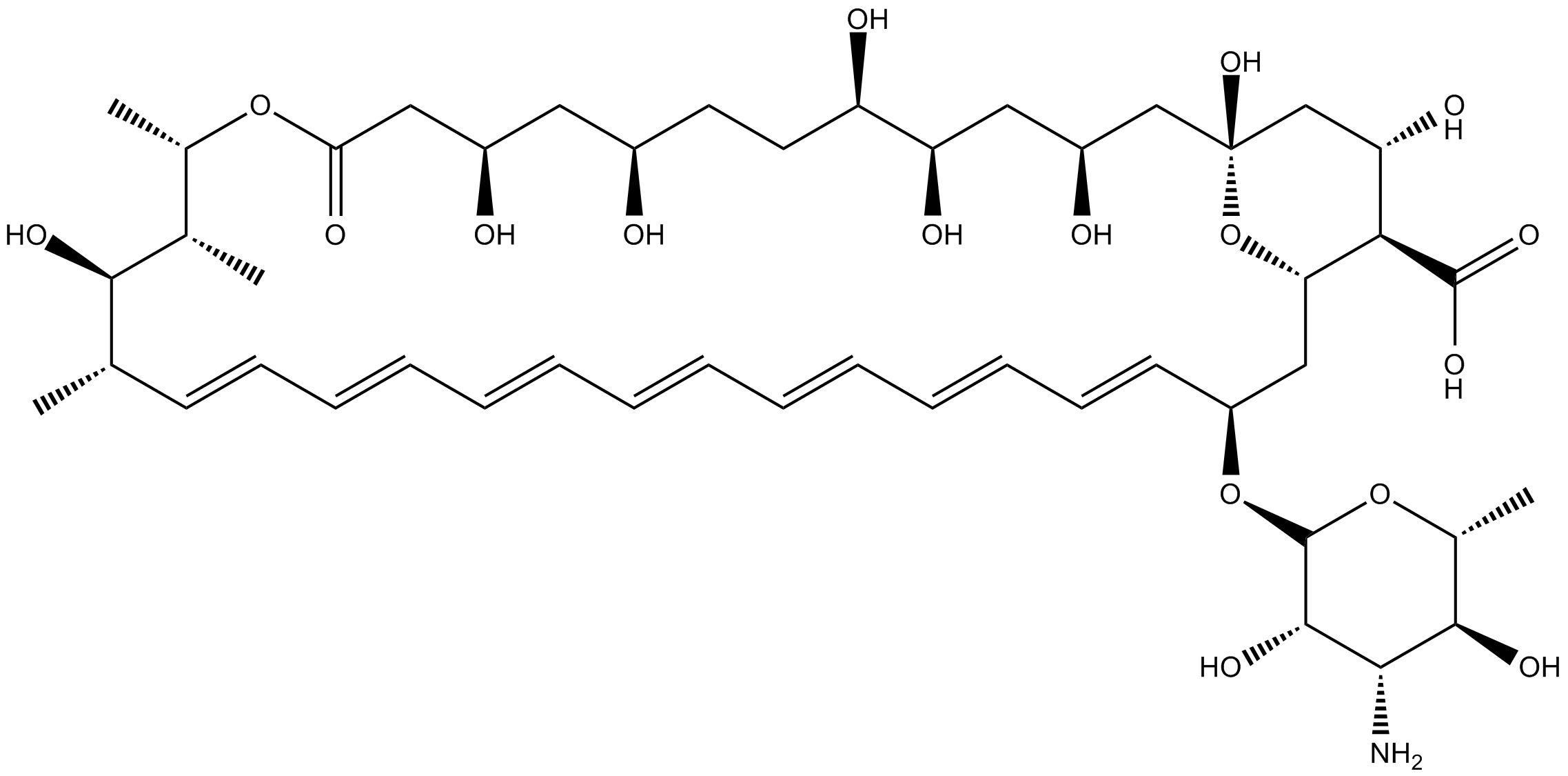 Amphotericin B