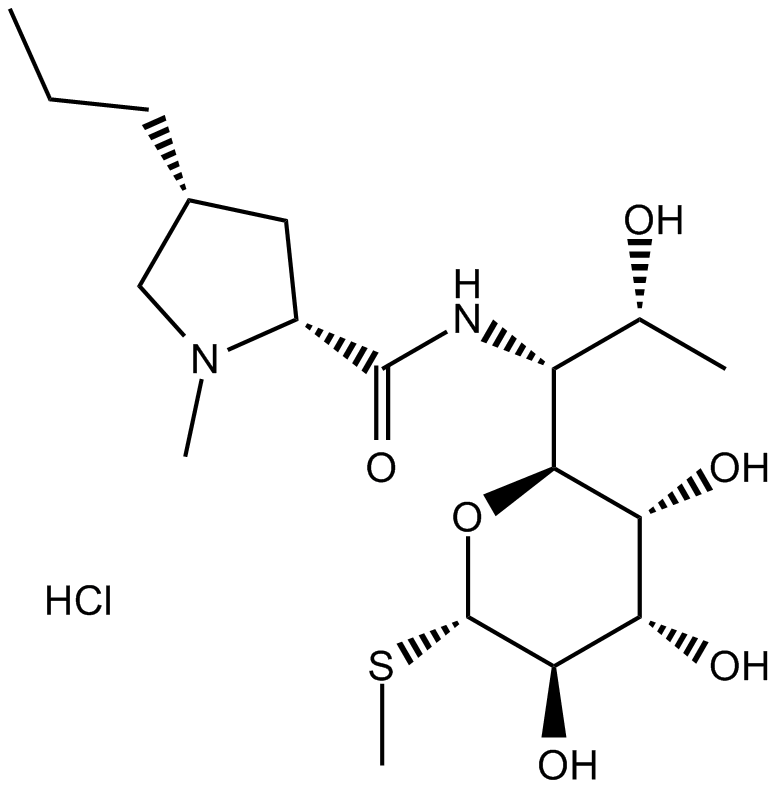 Lincomycin HCl