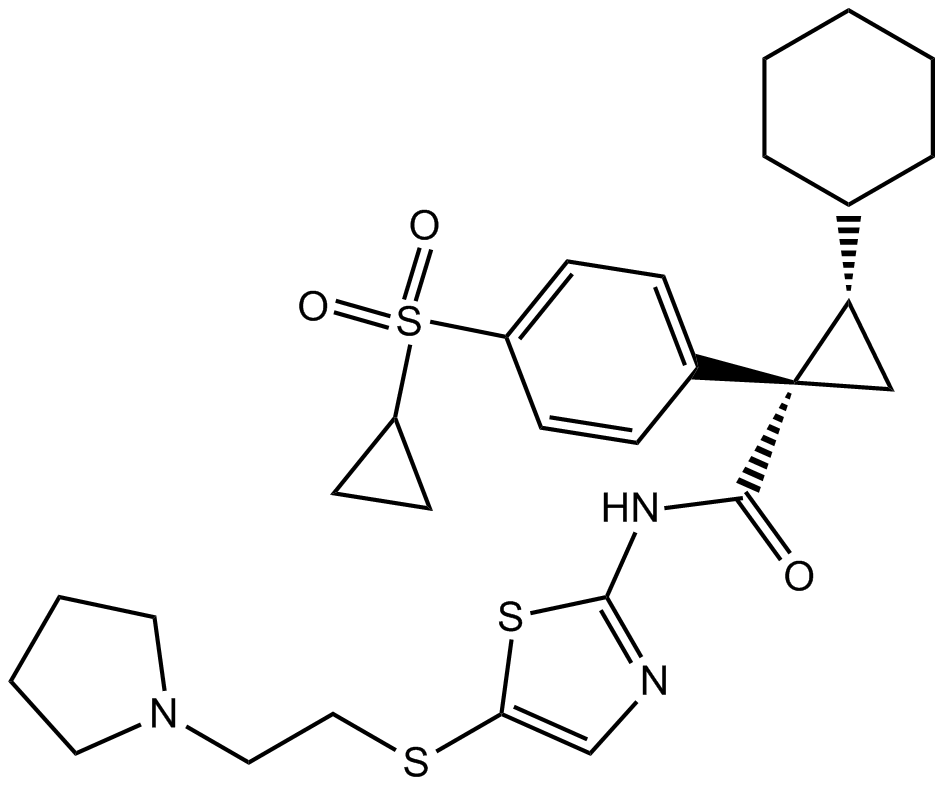 LY2608204