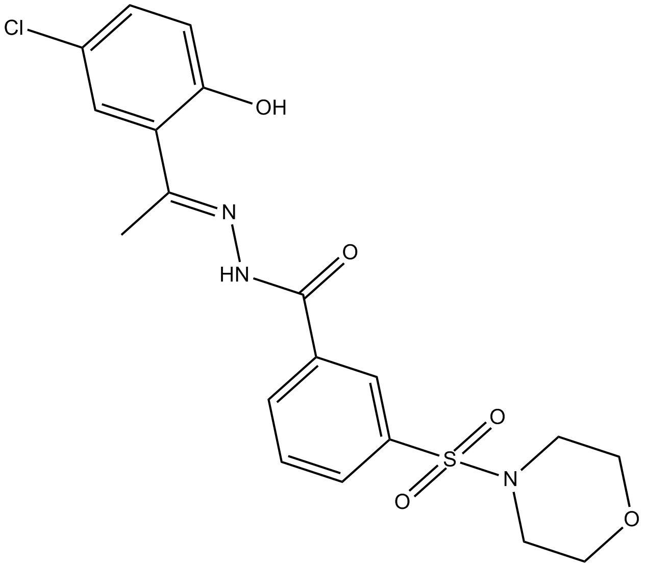 SP2509