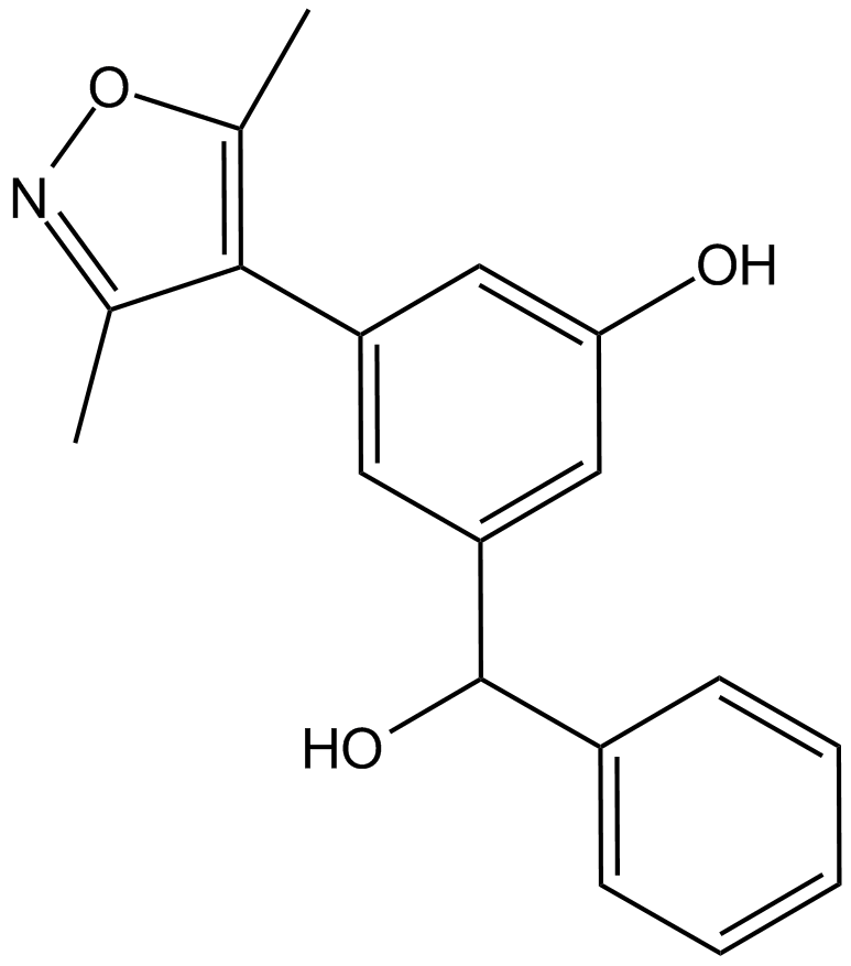 OXF BD 02